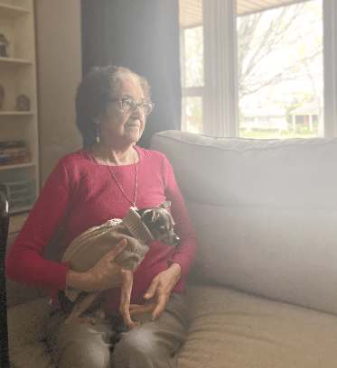 Older woman with grey hair sits by window, looking outside, holding small dog wearing a dog-sweater on her lap